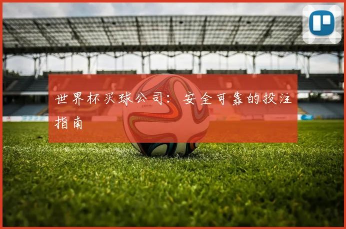 世界杯买球公司：安全可靠的投注指南